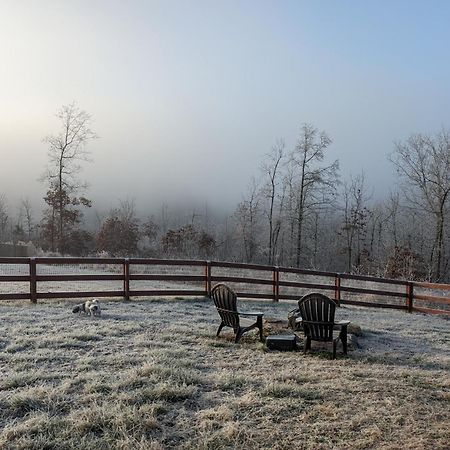 Great Little Guest Suite With Private Entry & Deck! Pet Friendly & 30 Mins To Nashville! Ashland City Bagian luar foto