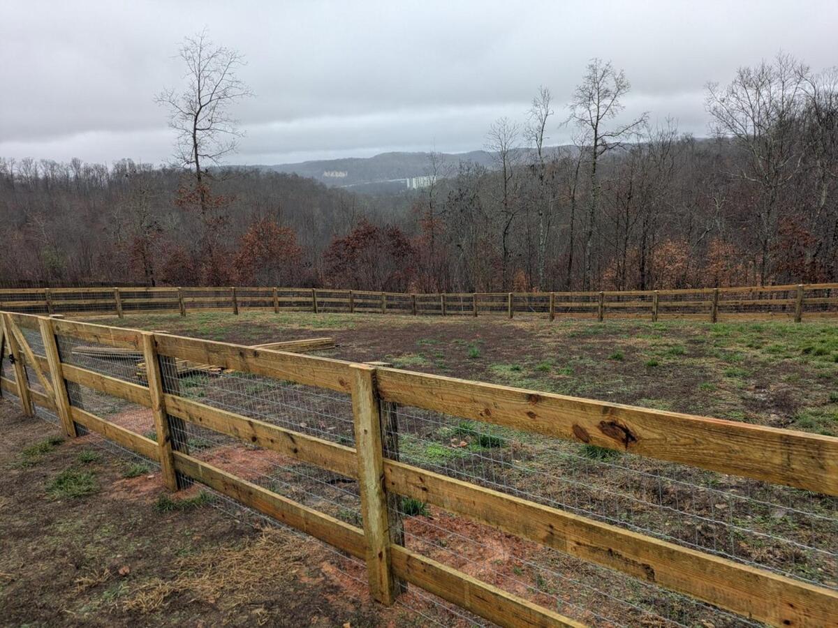 Great Little Guest Suite With Private Entry & Deck! Pet Friendly & 30 Mins To Nashville! Ashland City Bagian luar foto