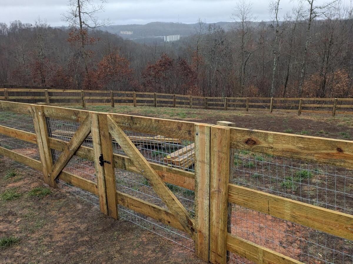 Great Little Guest Suite With Private Entry & Deck! Pet Friendly & 30 Mins To Nashville! Ashland City Bagian luar foto